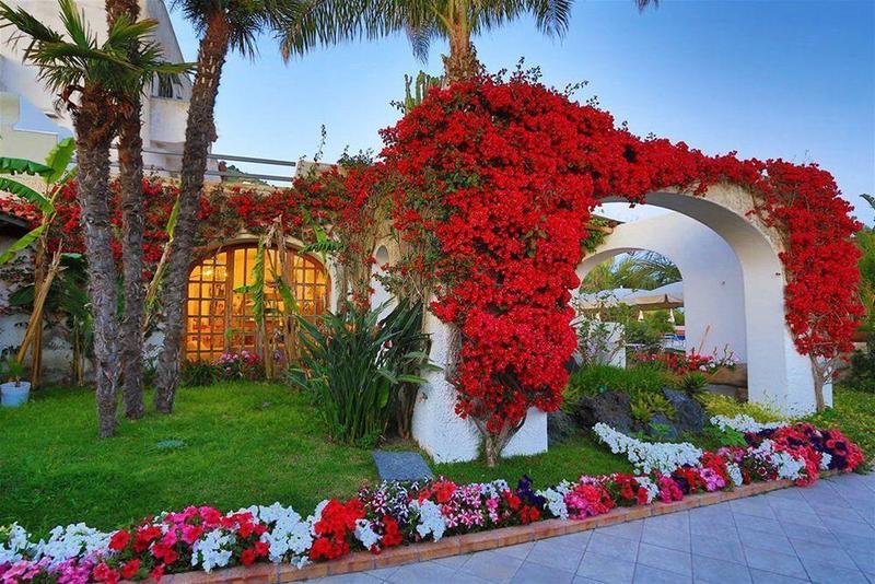 Hotel Terme San Nicola Forio di Ischia Buitenkant foto